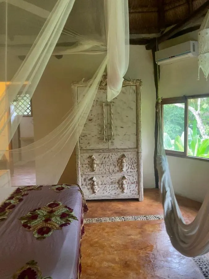 Bed & Breakfast Casa Tania Lodge Mexico