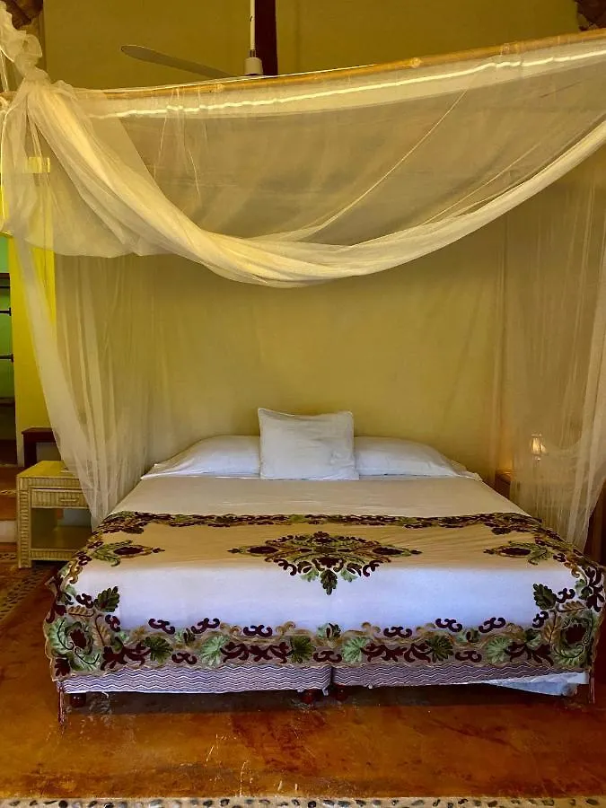 Bed & Breakfast Casa Tania Lodge