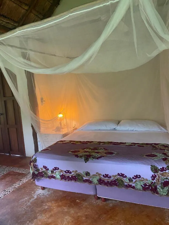 Casa Tania Lodge Mexico